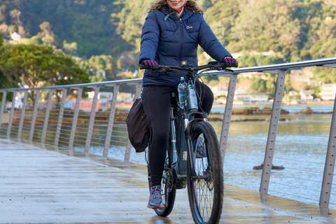 Wellington: Ferry then eBike around the Harbour
