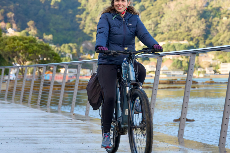 Wellington: eBike around the Harbour then Ferry back