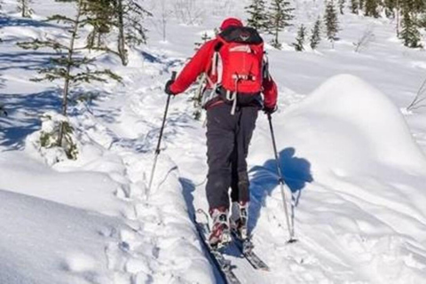 Banff: Lake Louise, Sunshine Village i Mt. Norquay — wycieczka narciarskaBanff: wycieczka narciarska do Lake Louise, Sunshine Village i Mt. Norquay