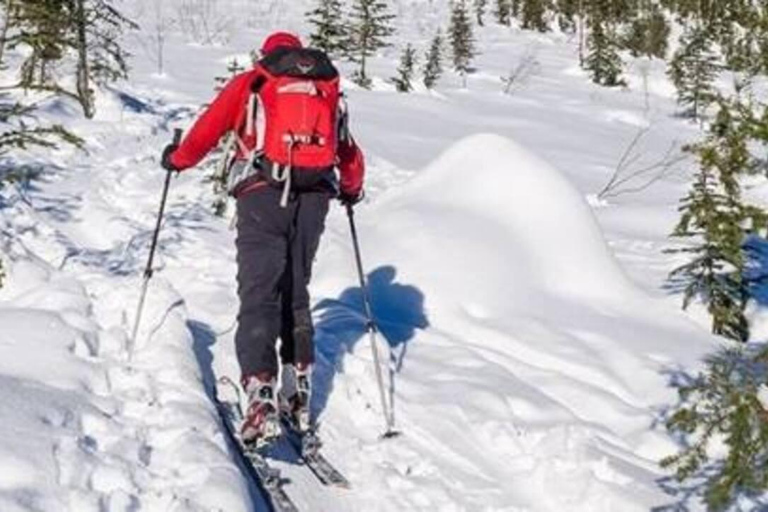Banff: Lake Louise, Sunshine Village i Mt. Norquay — wycieczka narciarskaBanff: wycieczka narciarska do Lake Louise, Sunshine Village i Mt. Norquay