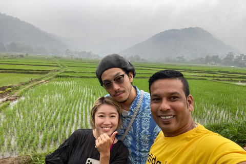 From Airport: 2-Night Sigiriya and Kandalama with Kandy Drop