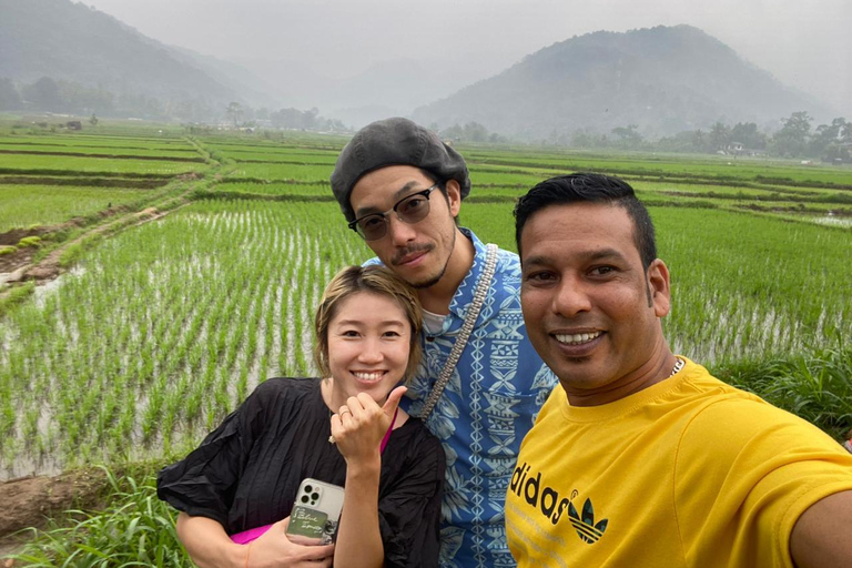From Airport: 2-Night Sigiriya and Kandalama with Kandy Drop