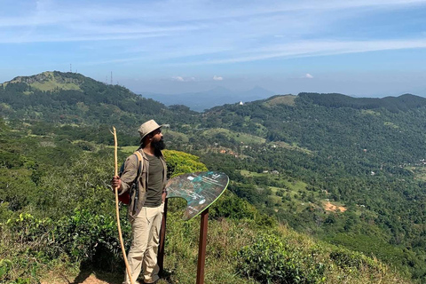Kandy: Hidden Highlands Nature Walk
