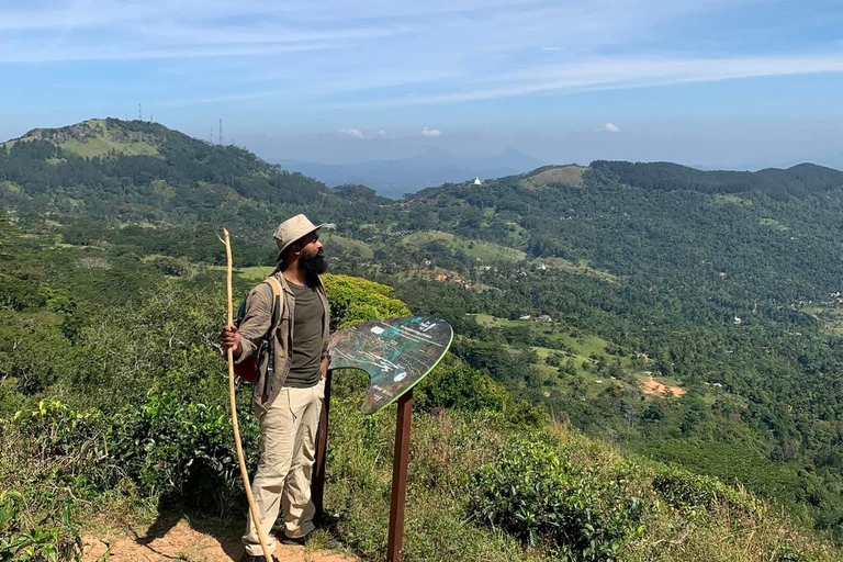 Kandy: Hidden Highlands Nature Walk