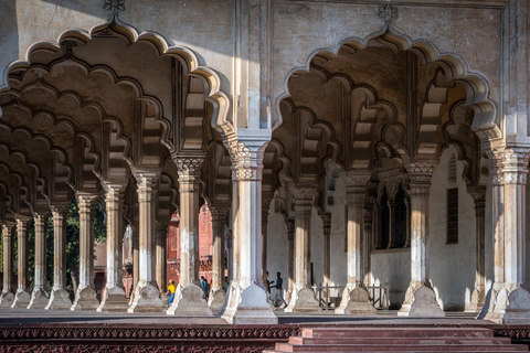 Delhi: Tour del Taj Mahal e di Agra in giornata con servizio di prelievo e trasferimento.Guida per tutti i monumenti di Agra.