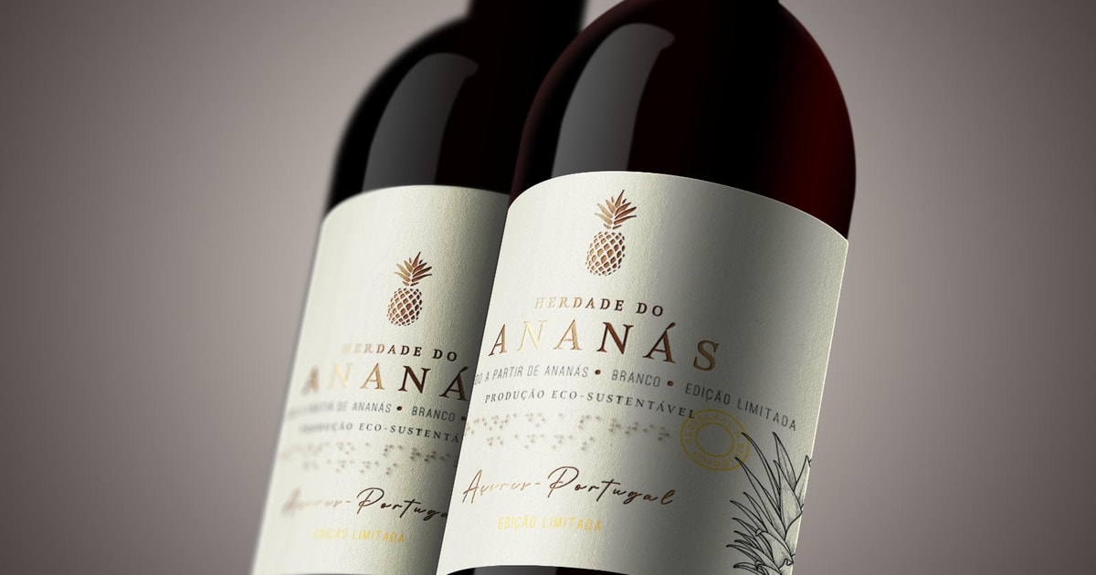 Ponta Delgada Dégustation de vin d'ananas et visite de l'ananas