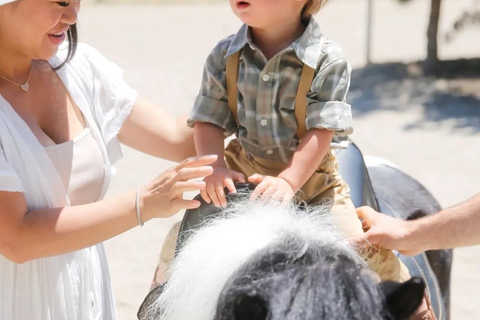 Baku Horse Riding Experience with World-Famous Breeds Standart Package