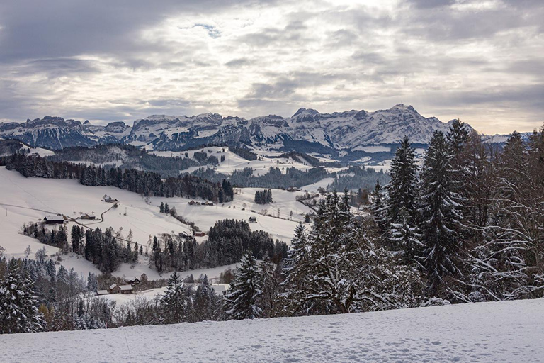 Best Alps Tour: 7-Day with Transfers, Hotel HP + 5 Countries