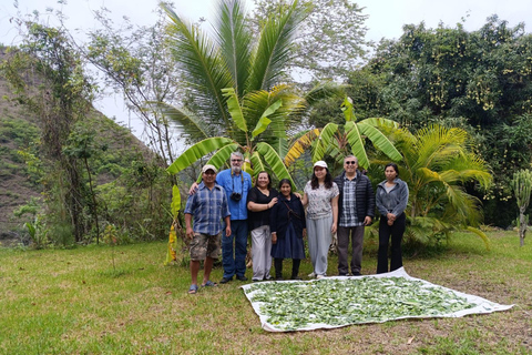 Cusco: 2-Day Coffee & Cacao Farm Stay Experience