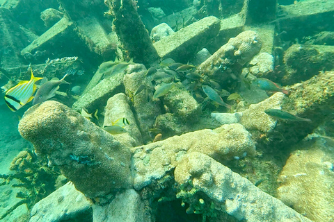 Ft Lauderdale: Combo Deal Snorkel Reefs, Kayak/SUP Mangroves