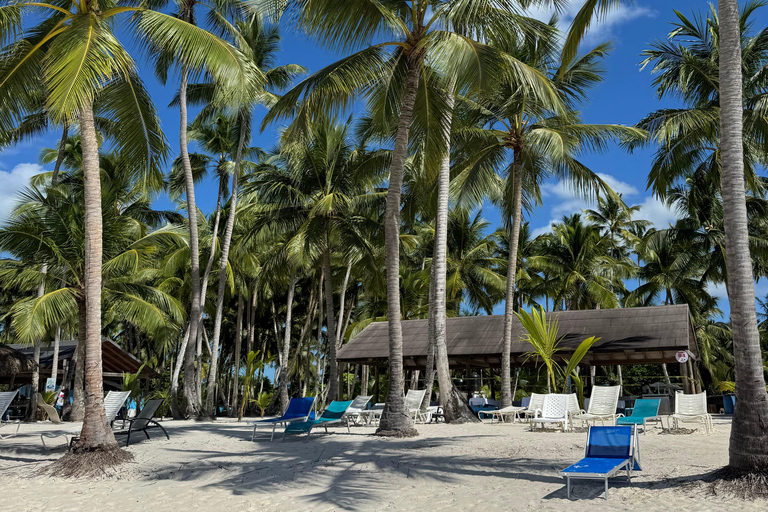 Private: Luxury Saona Island Speedboat Trip with Open Bar