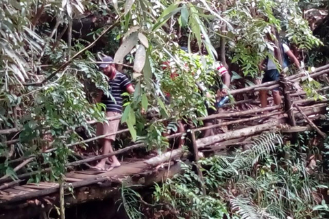 From Colombo: Kanneliya Rainforest Waterfalls Tour with Swim