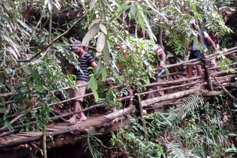 From Colombo: Kanneliya Rainforest Waterfalls Tour with Swim