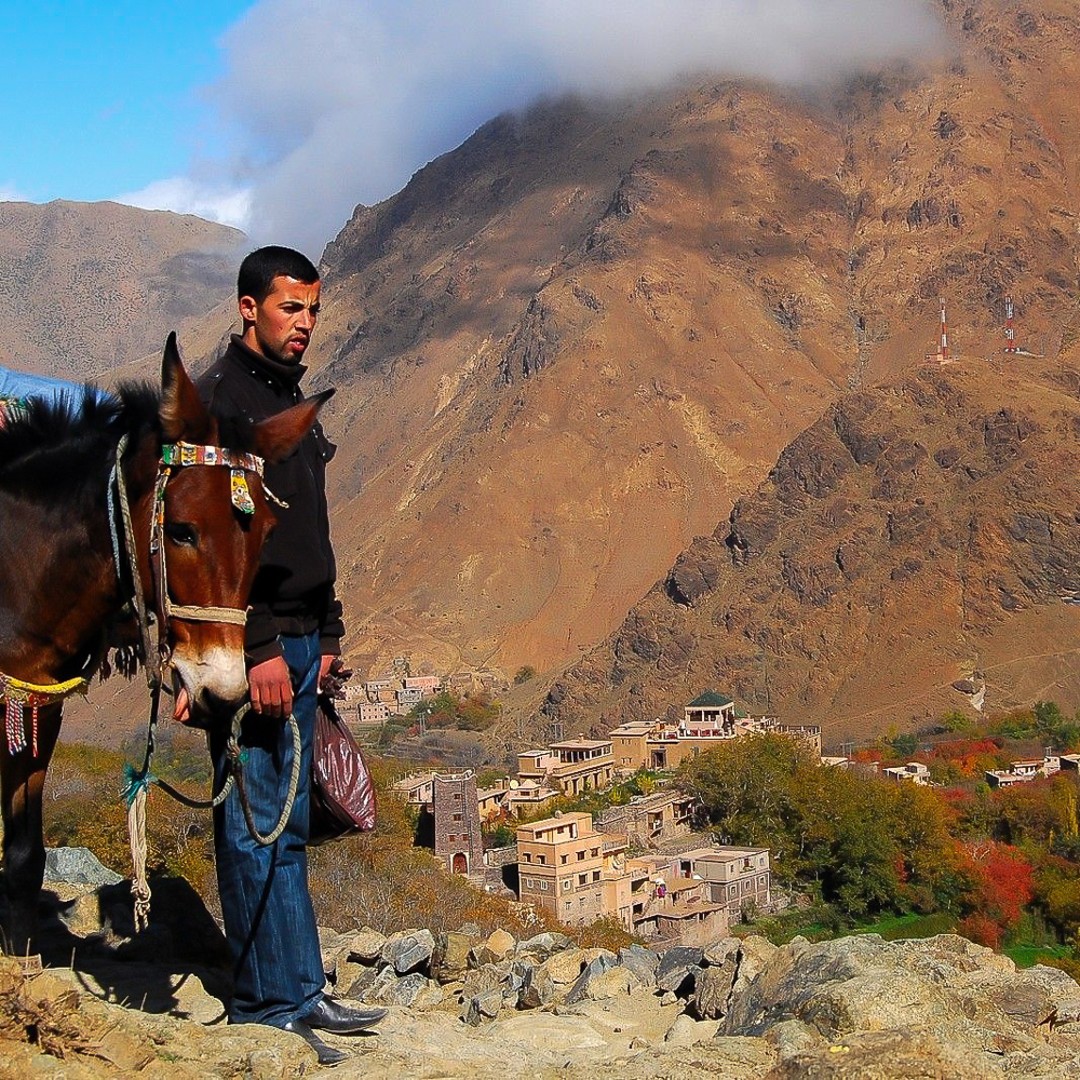 Au départ de Marrakech : Visite d'une jounée des Berbères de l'Atlas - excursion