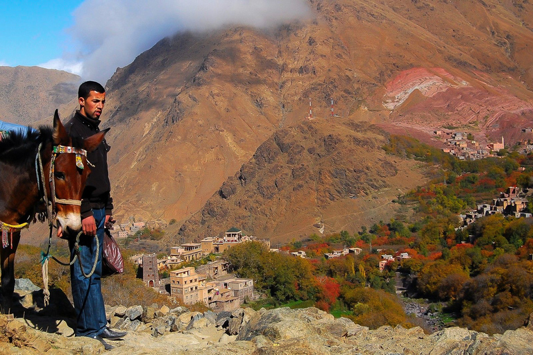 From Marrakech: Full-Day Atlas Mountain Berber Tour