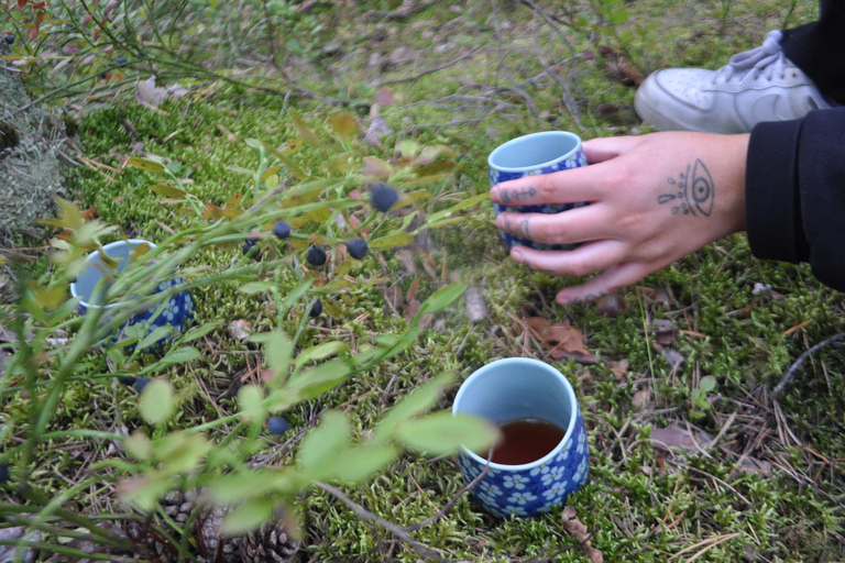 Stockholm: Dog Walk in Nature Reserve with Swedish Fika