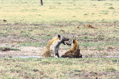Botswana: Savuti, Khwai, & Moremi 7-Day Mobile Safari