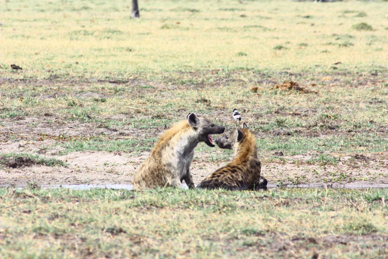 Botswana: Savuti, Khwai, & Moremi 7-Day Mobile Safari