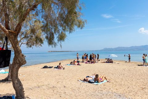 Athens: Aegina, Agistri & Metopi Swimming Cruise with lunch Cruise with Pickup From Select Hotels in Athens