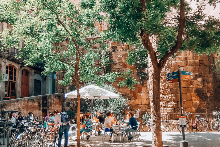 Barcelona: Introduction to the Gothic Quarter Walking Tour Private Tour (Max 20 Adults)