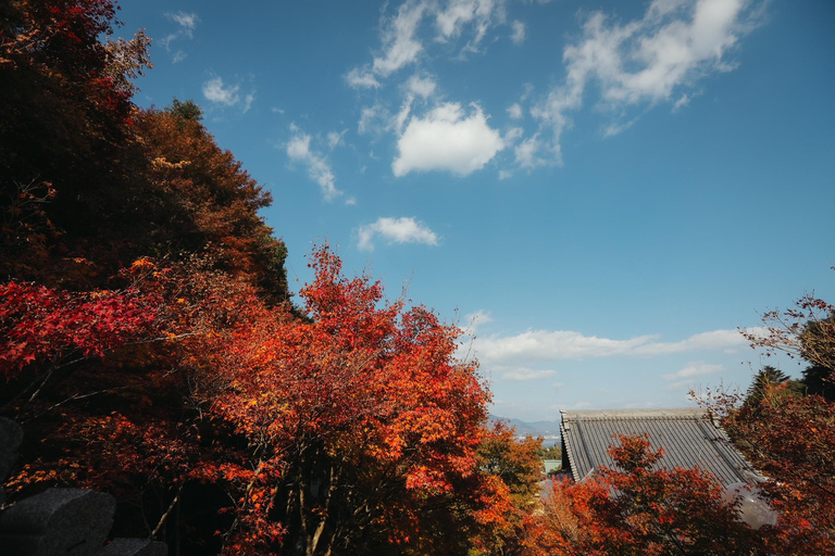 Hiroshima & Miyajima Full day Tour with Pro Photographer