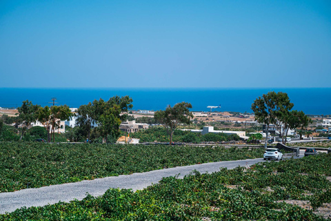 Degustazione di vini e tour dei vigneti di Santorini