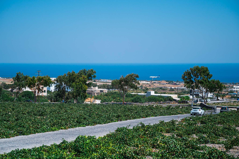 Dégustation de vins et visite de vignobles à Santorin