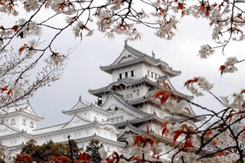 From Osaka: Osaka Private Customized Tour With English Guide Osaka : Osaka Private Tour With English Driver