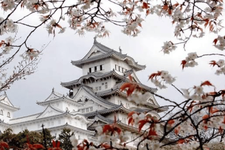 From Osaka: Osaka Private Customized Tour With English Guide Osaka : Osaka Private Tour With English Driver