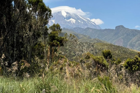 Moshi/Arusha: Kilimanjaro Day Trek~Lemosho, Marangu, Machame Arusha : Machame route day hike