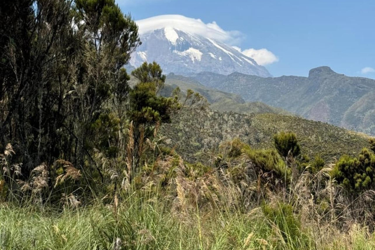 Moshi/Arusha: Kilimanjaro Day Trek~Lemosho, Marangu, Machame Arusha : Machame route day hike