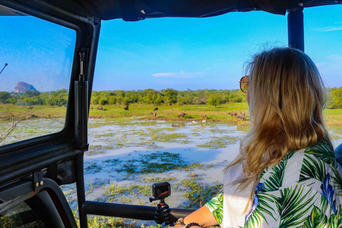 Safari a Yala mattina/sera, 7 ore e 12 ore, pasti inclusi!Tour YALA MATTINA/POMERIGGIO