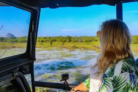 PARQUE NACIONAL DE YALA: excursão de meio dia ou de dia inteiro