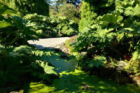 Recorrido en Coche por Vancouver: Ver todas las atracciones de la ciudad/Ahorrar tiempo y dinero