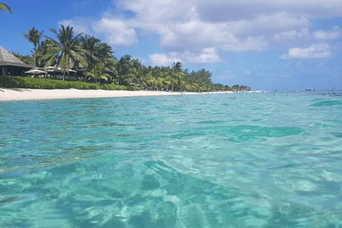 Complete South Tour of Mauritius incl. Giant Tortises