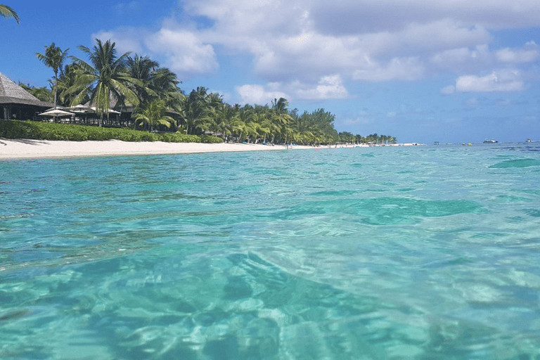 Mauricio: Tour privado por el sur de Mauricio con tortugas