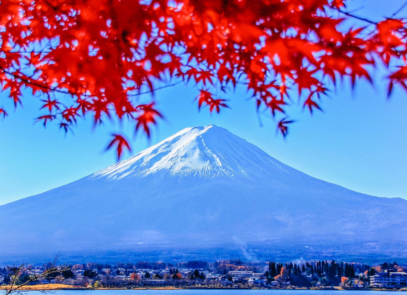 Tokyo: Fuji-bjerget, Hakone, krydstogt ved Ashi-søen og Bullet Train