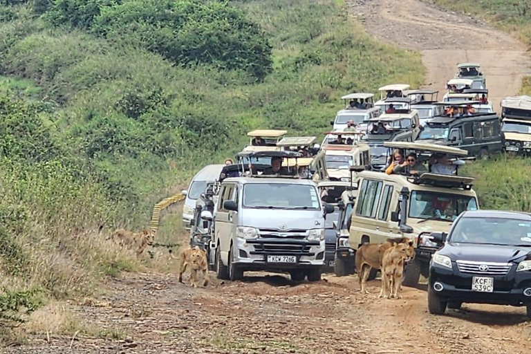 Parco Nazionale di Nairobi Game Drive