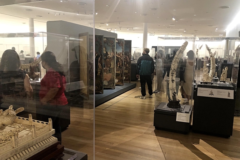 Unieke kunsttour Moderne kunst, antropologie en Soumaya-musea