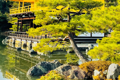 Private Shore Tour:Osaka, Kyoto, Nara, Kobe & Himeji