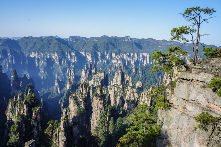 Zhangjiajie Private Guided City Walk + Custom Travel Plan
