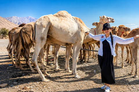 Muscat: Visit Sinaw Market, Izki Village, & Jarnan Cave Tour