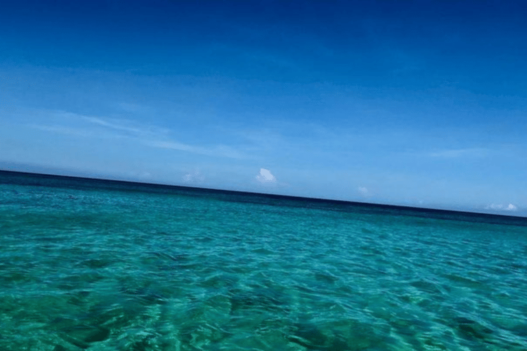 Bahía de las águilas glamping experience from Santo Domingo