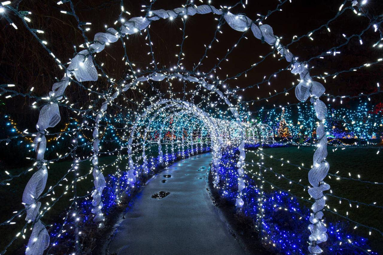 Vancouver : Tour en trolley des lumières de Noël avec karaoké