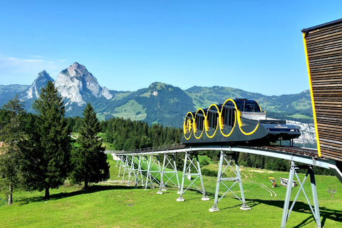Lucerne: Guided Day Hike to Lucerne Ridge & Lake Views