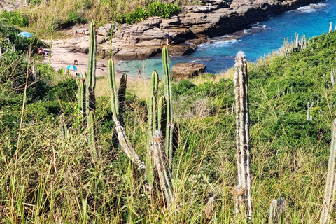 From Rio de Janeiro: Tour discovers Búzios in Buggy