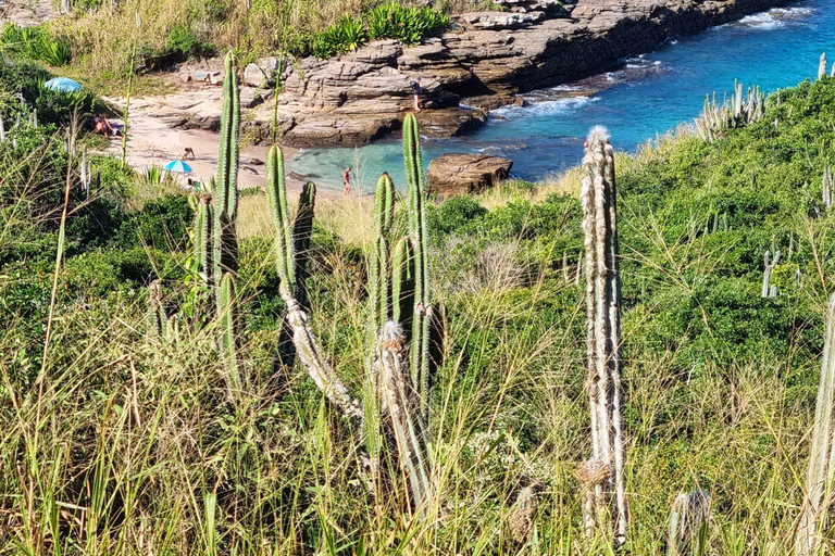 Desde Río de Janeiro: Tour descubre Búzios en Buggy