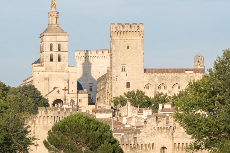 Avignon : Visite Guidée avec Vin et Saint-Rémy-de-Provence