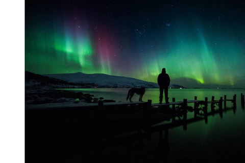 Tromsö: Nordlicht-Verfolgungsjagd im großen Bus mit kostenlosen Fotos