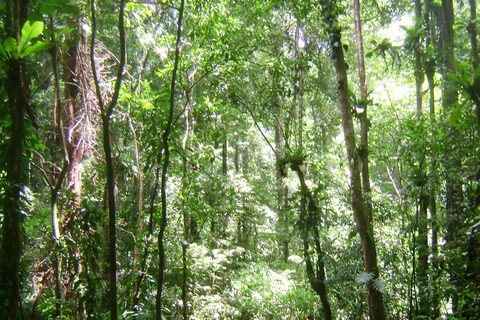 Trinidad: Cascada del Río Seco